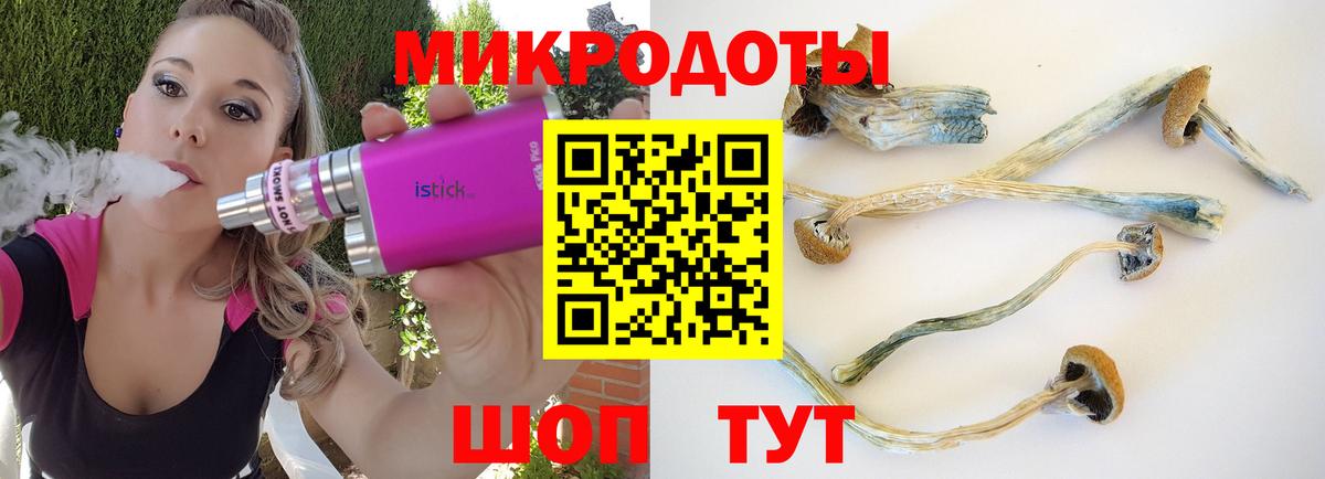 Псилоцибиновые грибы ЛСД  Вход с VPN  Псилоцибиновые грибы GOLDEN TEACHER  Благодарный 