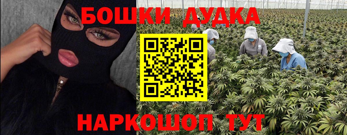 Конопля семена  Бошки Шишки план  Вход с VPN  Благодарный 
